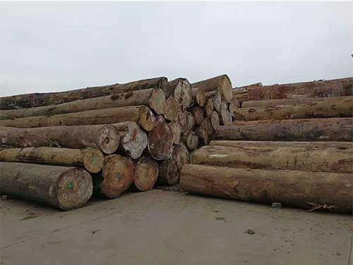 昆明進口松木市場